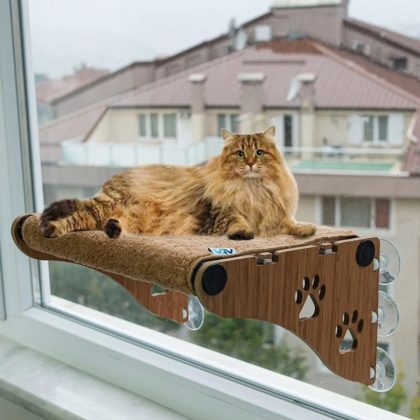 Ahşap Cama Yapışan Kedi Yatağı Vantuzlu Cam Yatağı Terası