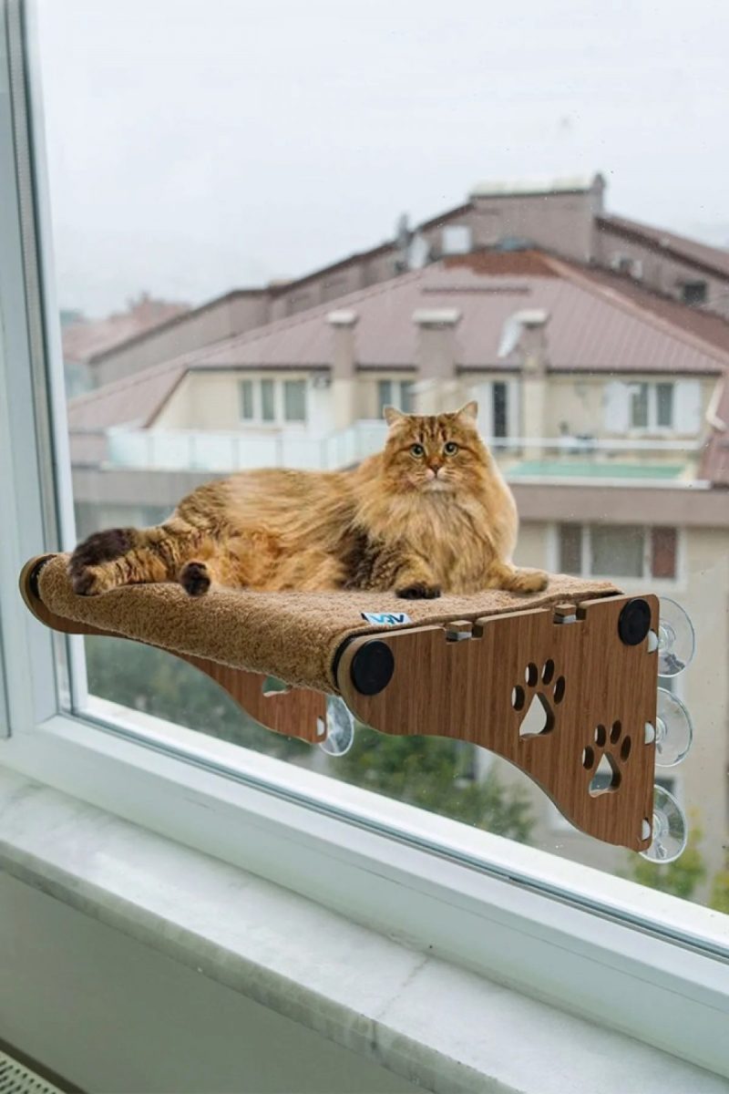 Ahşap Cama Yapışan Kedi Yatağı Vantuzlu Cam Yatağı Terası