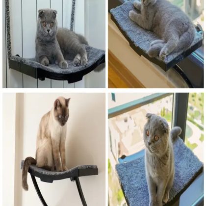 KEDİ YATAĞI CAM VE DUVAR İÇİN